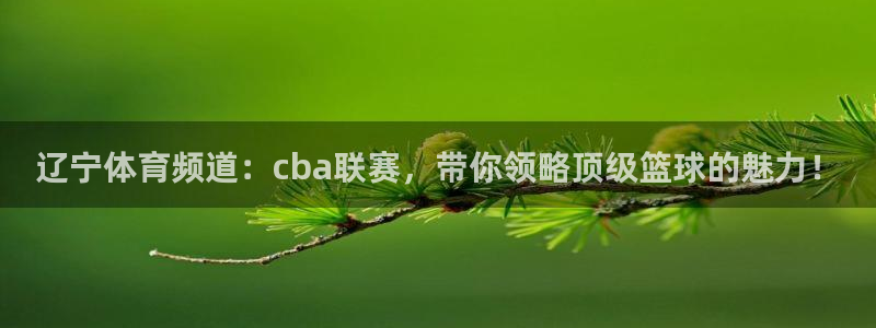 辽宁体育频道：cba联赛，带你领略顶级篮球的魅力！