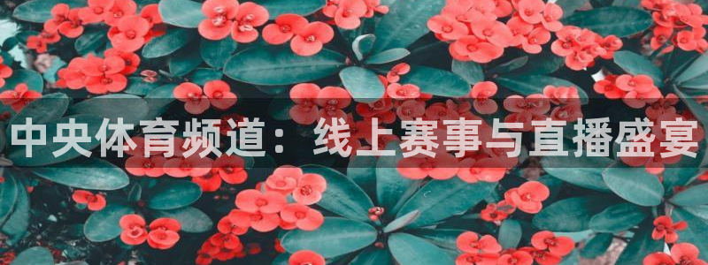 中央体育频道：线上赛事与直播盛宴