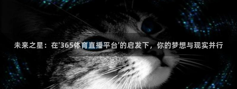 未来之星：在\'365体育直播平台\'的启发下，你的梦想与现实并行