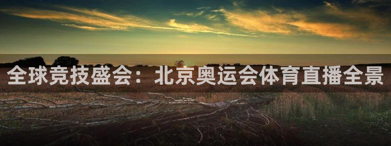 全球竞技盛会：北京奥运会体育直播全景
