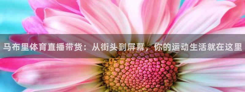 马布里体育直播带货：从街头到屏幕，你的运动生活就在这里