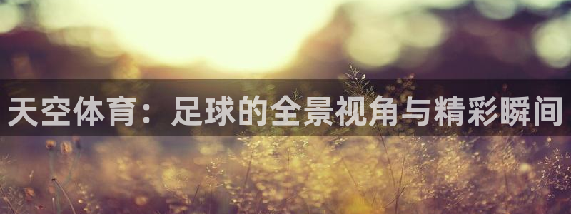 天空体育：足球的全景视角与精彩瞬间