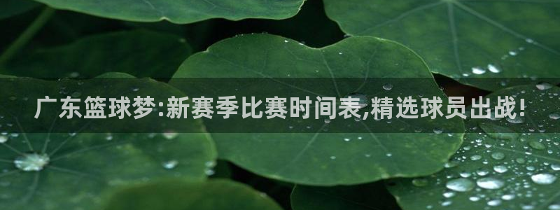 广东篮球梦:新赛季比赛时间表,精选球员出战!