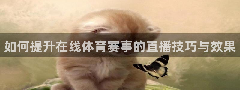 如何提升在线体育赛事的直播技巧与效果