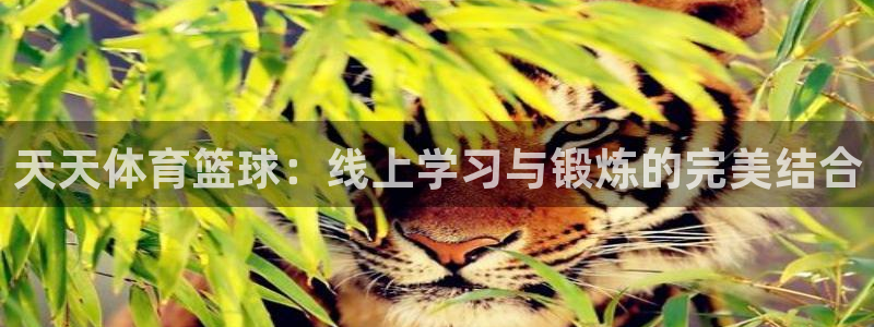 天天体育篮球：线上学习与锻炼的完美结合