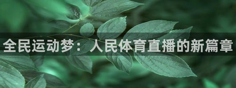 全民运动梦：人民体育直播的新篇章