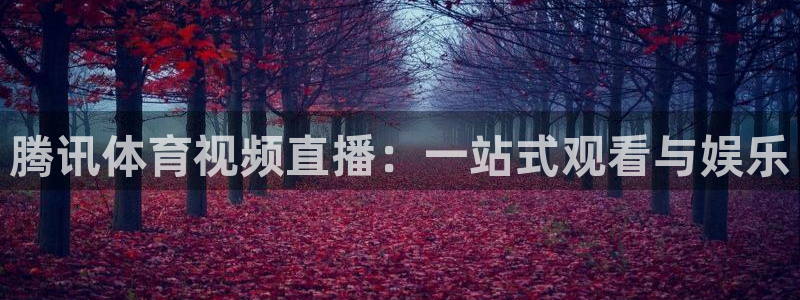腾讯体育视频直播：一站式观看与娱乐