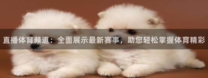 直播体育频道：全面展示最新赛事，助您轻松掌握体育精彩