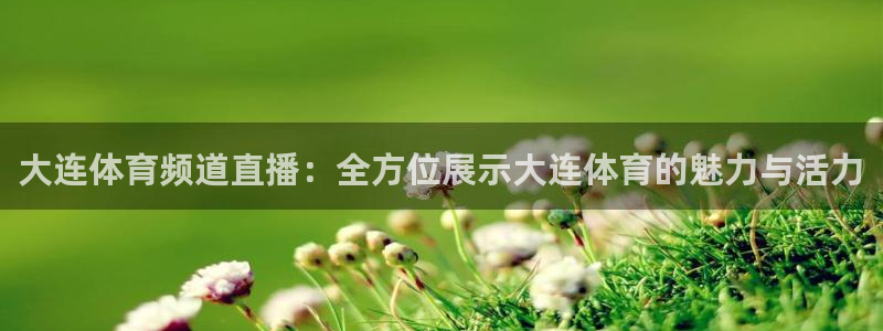 大连体育频道直播：全方位展示大连体育的魅力与活力