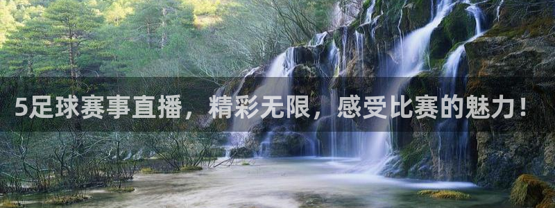 5足球赛事直播，精彩无限，感受比赛的魅力！