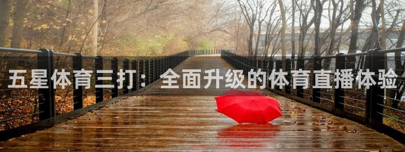 五星体育三打：全面升级的体育直播体验