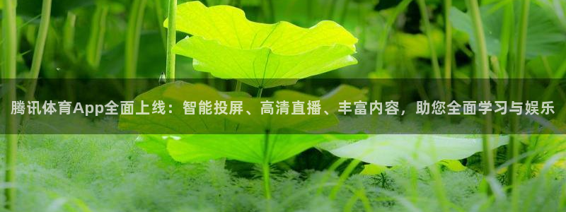 腾讯体育App全面上线：智能投屏、高清直播、丰富内容，助您全面学习与娱乐