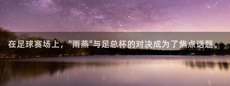 在足球赛场上，\
