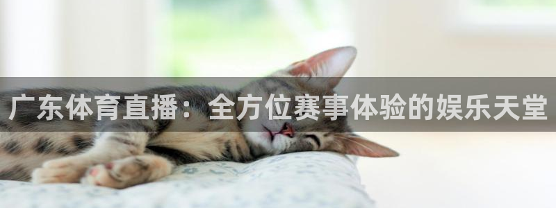 广东体育直播：全方位赛事体验的娱乐天堂