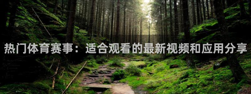 热门体育赛事：适合观看的最新视频和应用分享