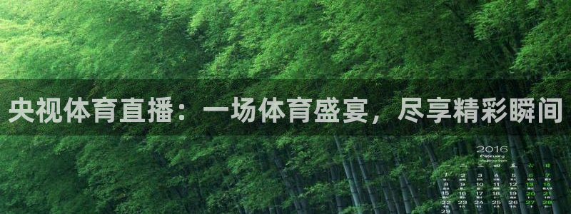 央视体育直播：一场体育盛宴，尽享精彩瞬间