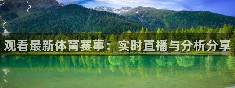 观看最新体育赛事：实时直播与分析分享