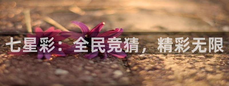 七星彩：全民竞猜，精彩无限