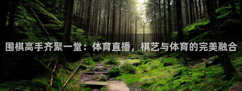 围棋高手齐聚一堂：体育直播，棋艺与体育的完美融合