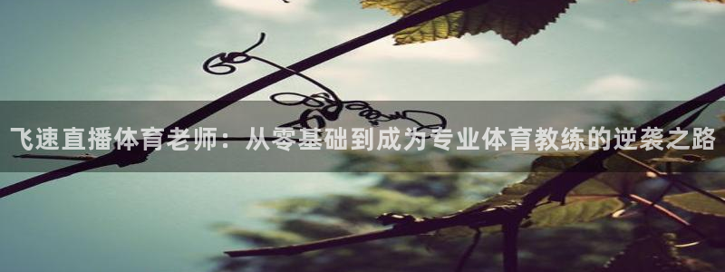 飞速直播体育老师：从零基础到成为专业体育教练的逆袭之路